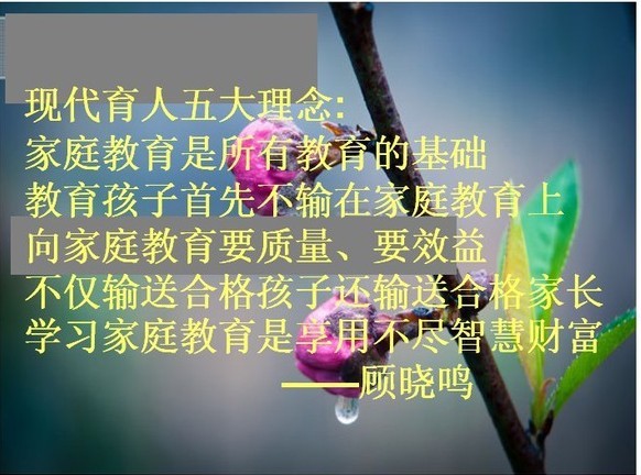 教师和家长沟通中应注意的问题(原创)