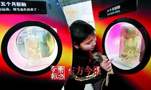 郑州 小学开讲性知识 男生回答:我是精子和卵子