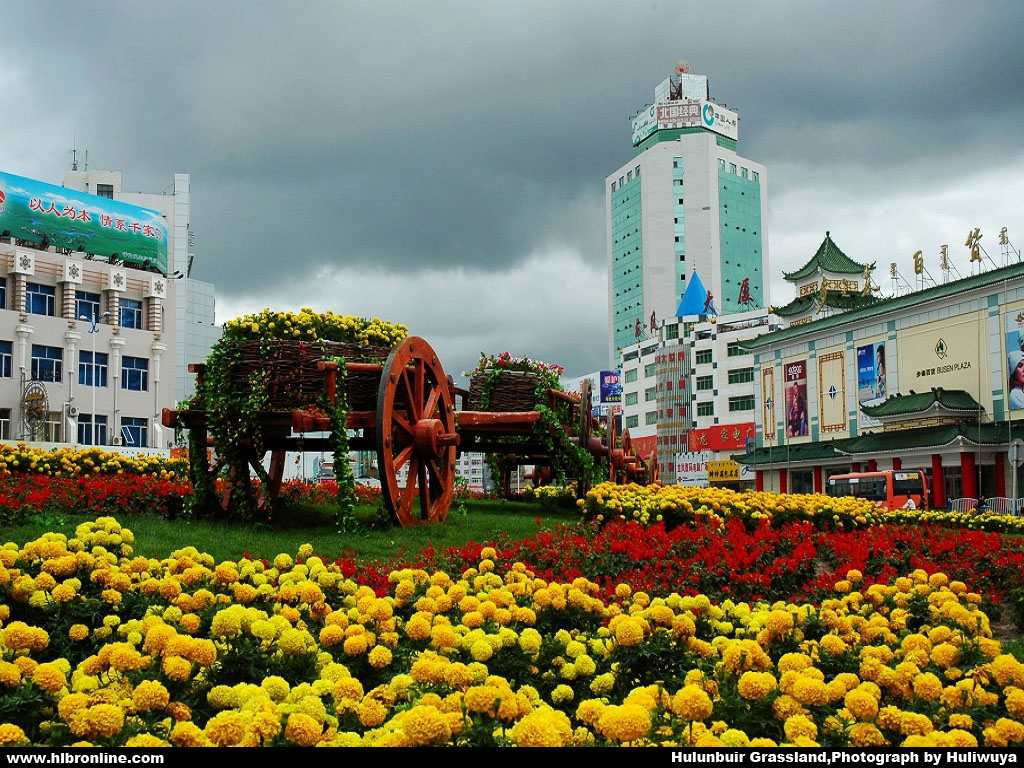 和一位博士妈妈的"星空对话"