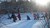 SAM_3651