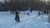SAM_3655
